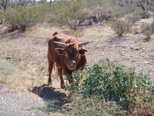 photo38.jpg