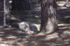 photo12_small.jpg