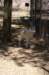 photo14_small.jpg