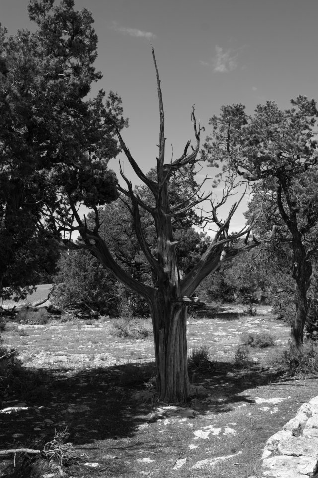photo32.jpg
