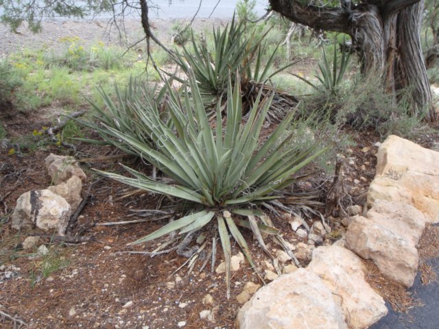 photo45.jpg
