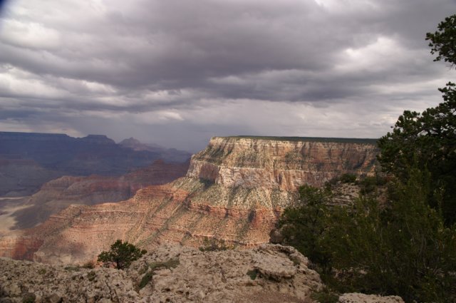 photo46.jpg