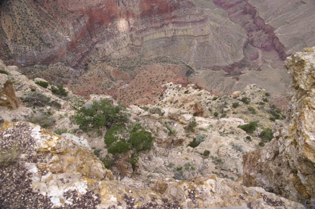 photo10.jpg