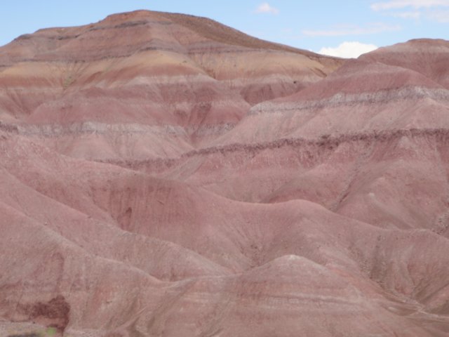 photo39.jpg