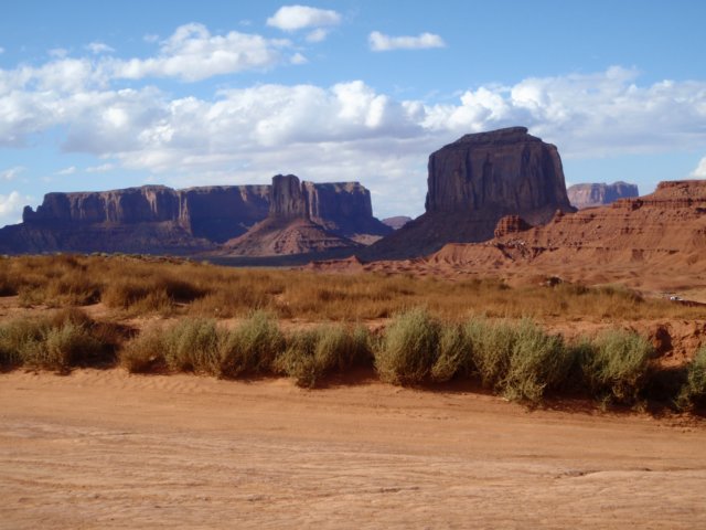 photo61.jpg