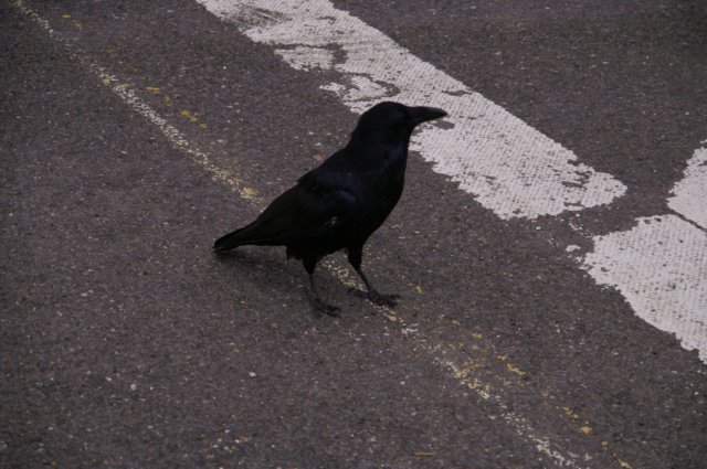 photo9.jpg