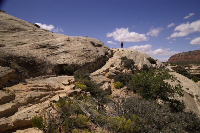 photo23.jpg