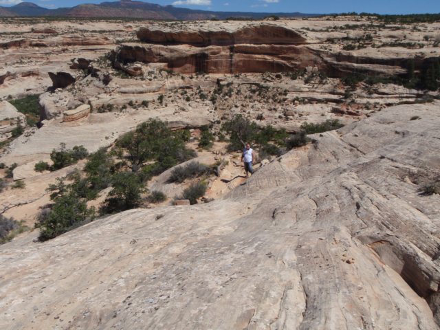photo25.jpg