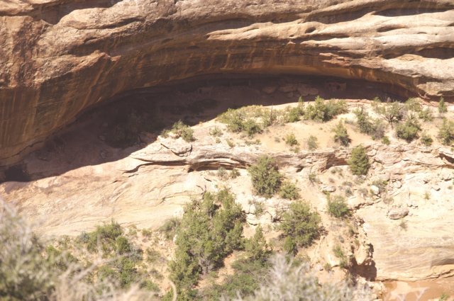 photo31.jpg