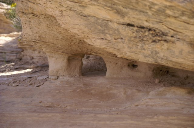 photo41.jpg