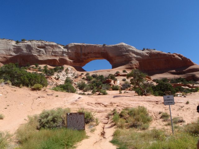 photo35.jpg