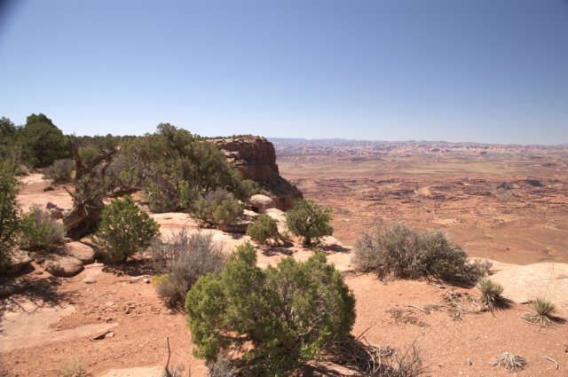 photo7.jpg