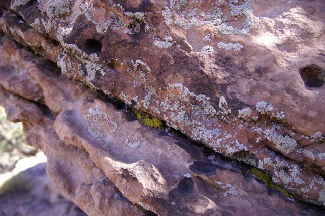 photo18.jpg