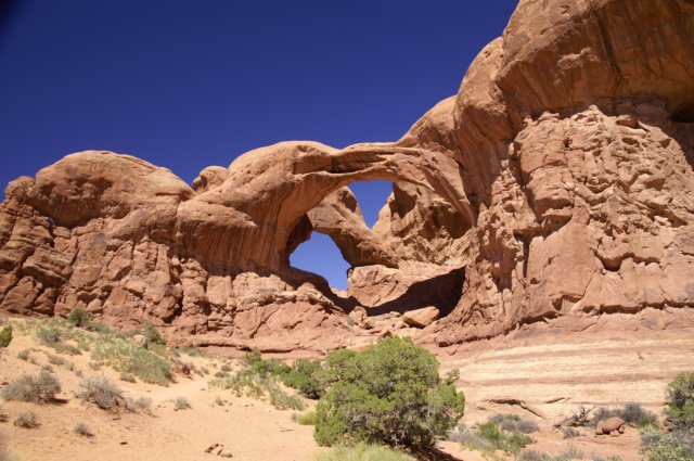 photo21.jpg