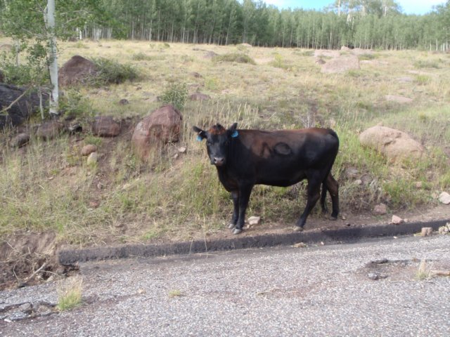photo35.jpg