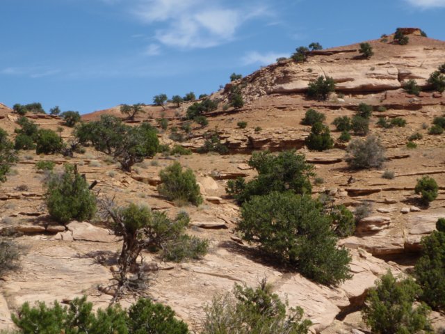 photo9.jpg