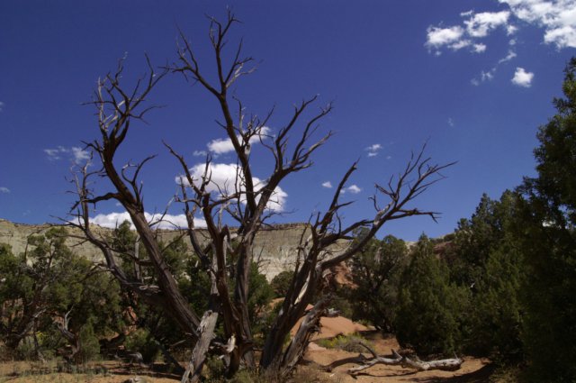 photo15.jpg
