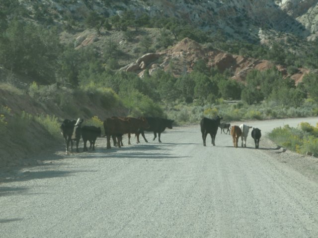 photo21.jpg