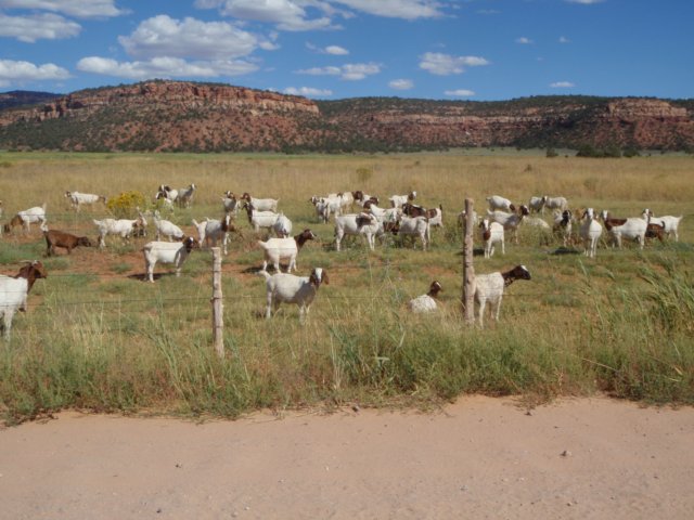 photo31.jpg