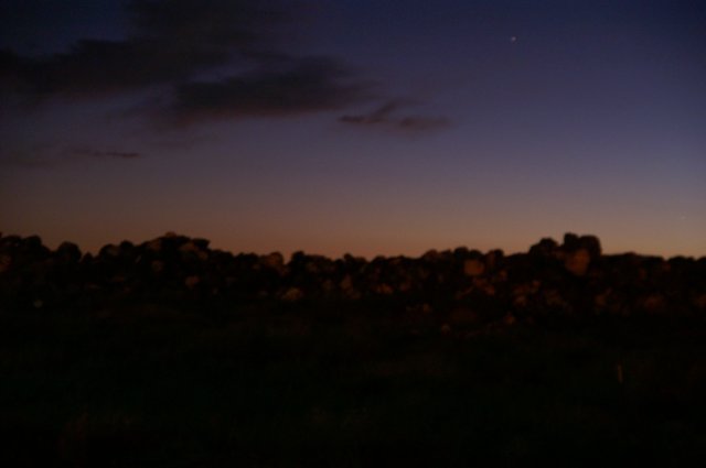 photo36.jpg