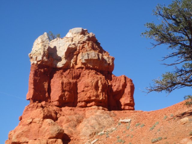 photo8.jpg