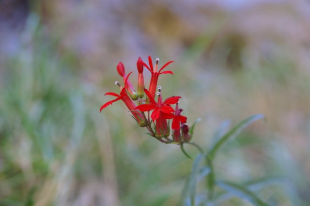 photo16.jpg
