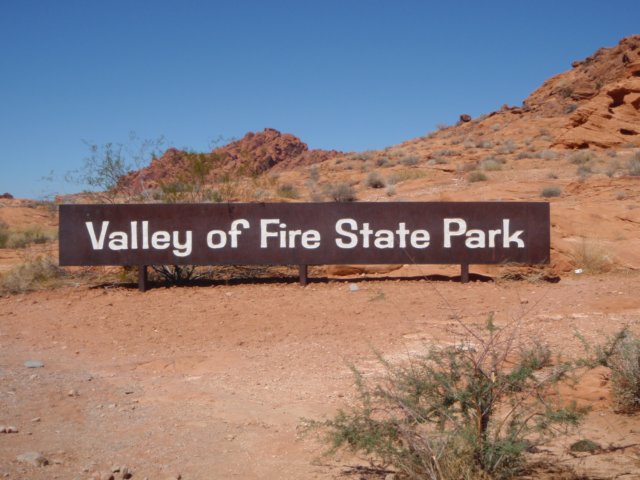 photo1.jpg