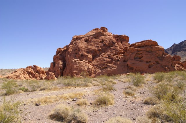 photo4.jpg