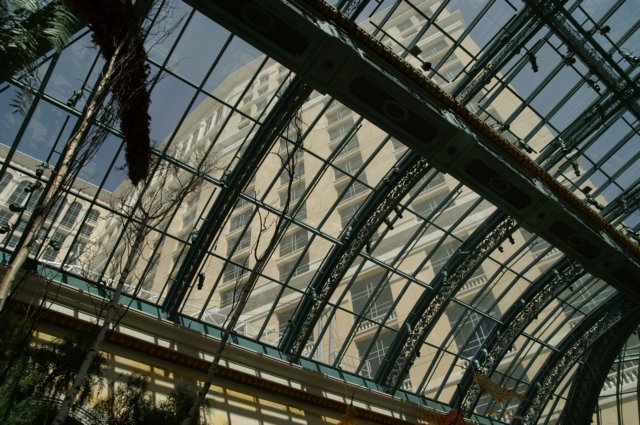 photo16.jpg