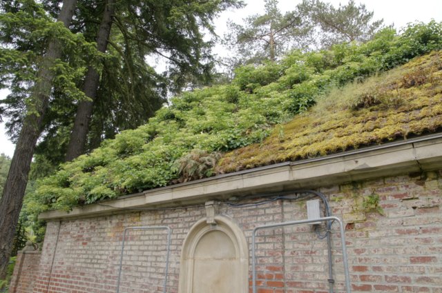 hetbegroeidedakvaneengebouwinderozentuin.jpg