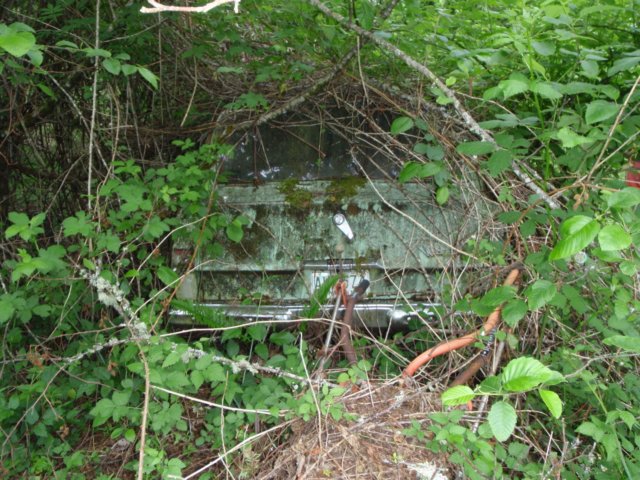 photo5.jpg