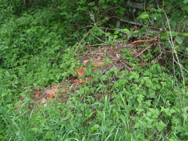 photo6.jpg