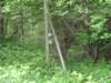photo7_small.jpg