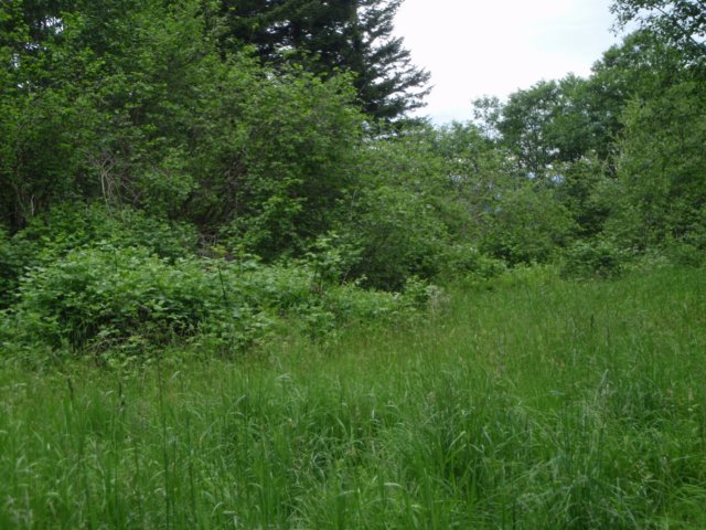 photo8.jpg