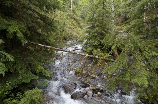 photo13.jpg