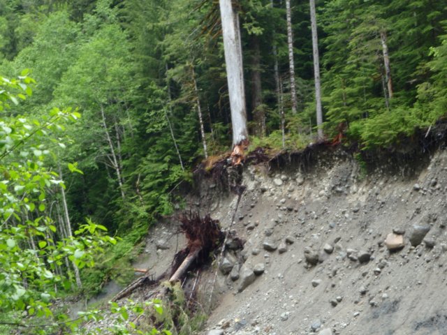 photo22.jpg