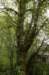 photo6_small.jpg