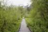 photo9_small.jpg