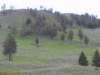 kl_20110620_153856_136_small.jpg