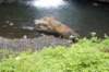 kl_20110629_132816_118_small.jpg