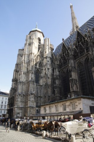 derijfiakervoordeststephansdom.jpg