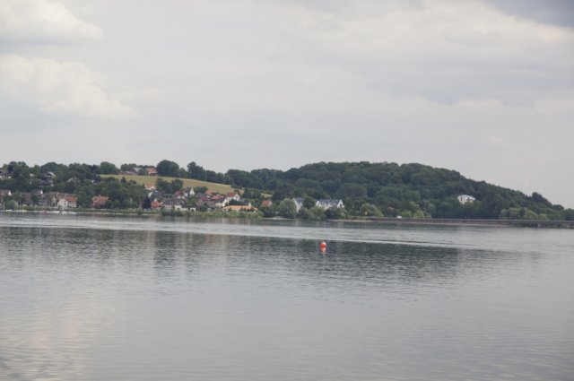 demhnesee3.jpg