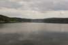 demhnesee6_small.jpg