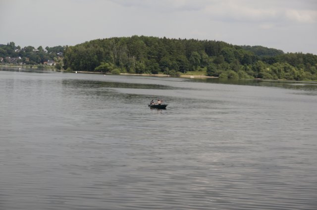 demhnesee7.jpg