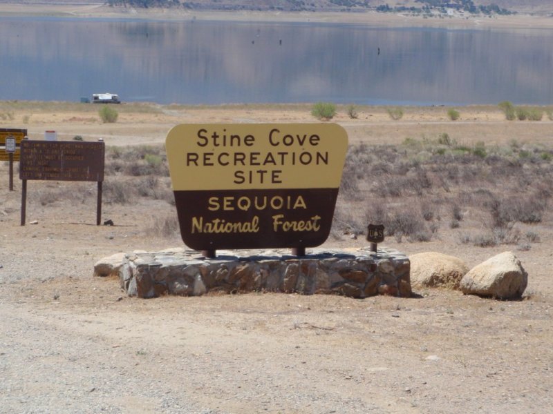 sequoianationalforest.jpg