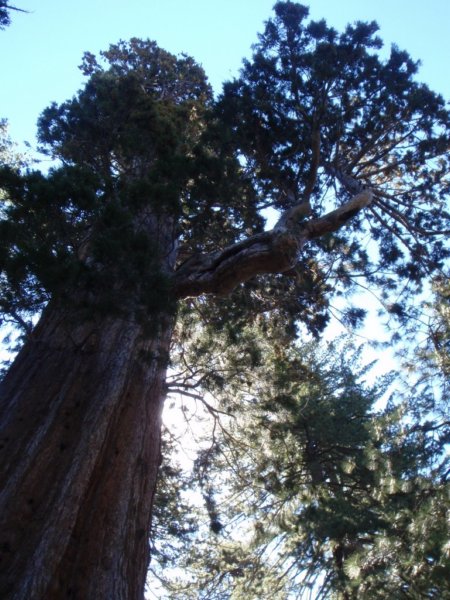 _100235_0565.jpg
