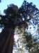 _100235_0565_small.jpg