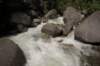 wildwaterbaan_small.jpg