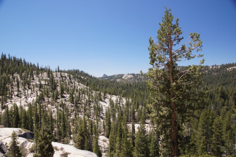 halfdome.jpg