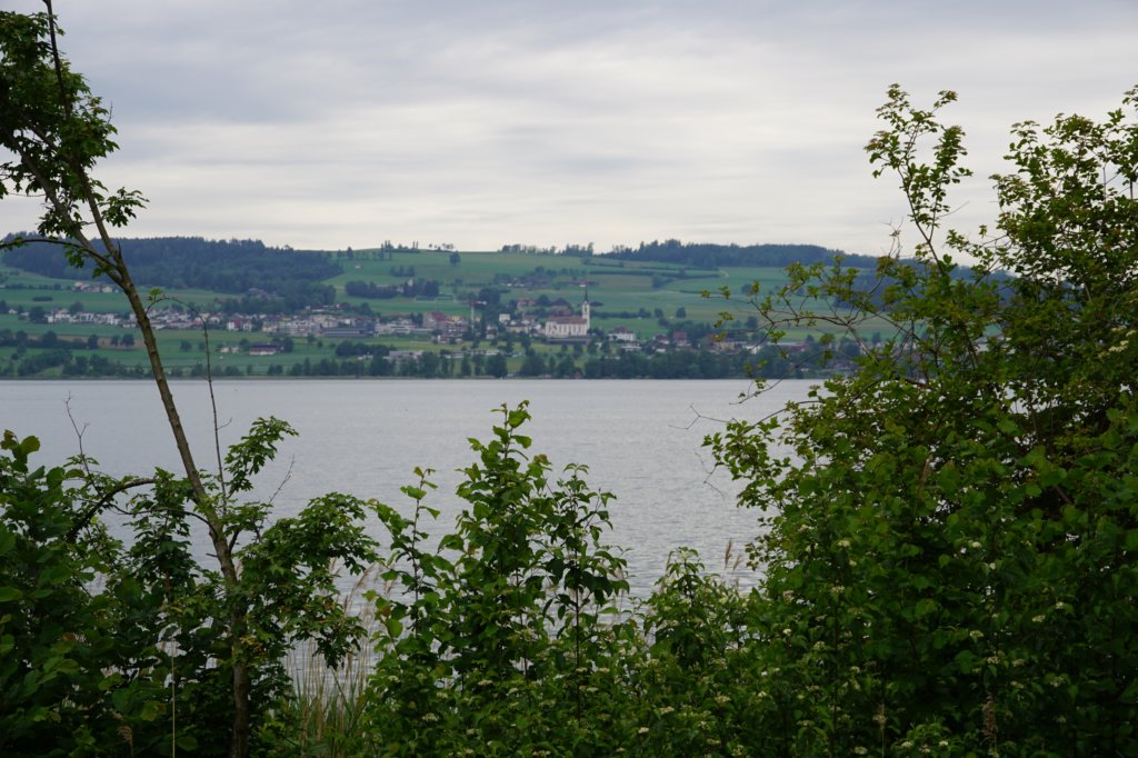 photo2.jpg